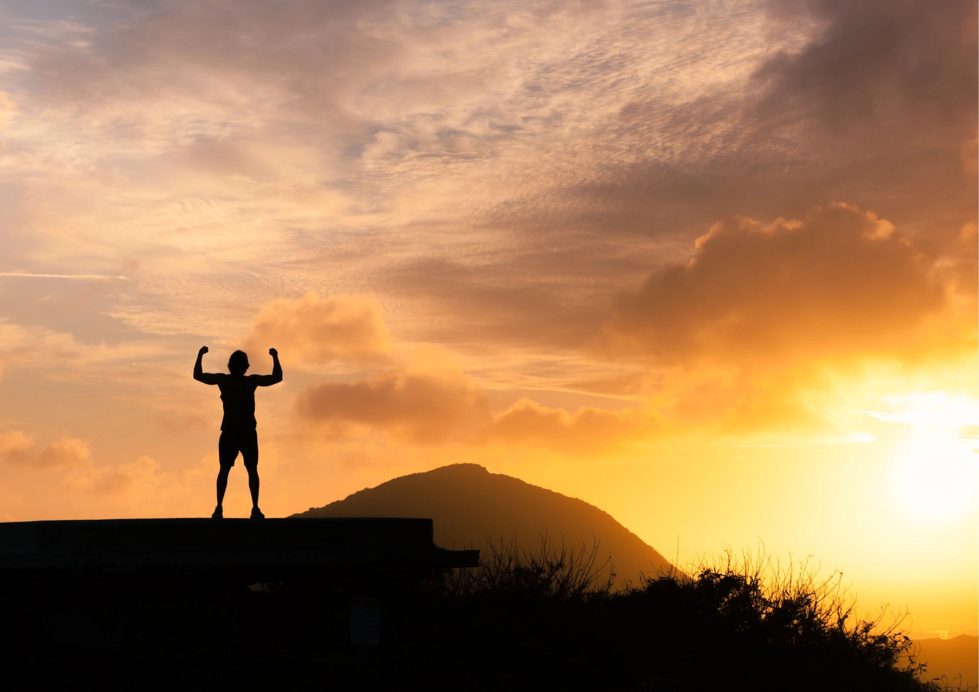 Cultivating Resilience - A Journey of Growth and Strength